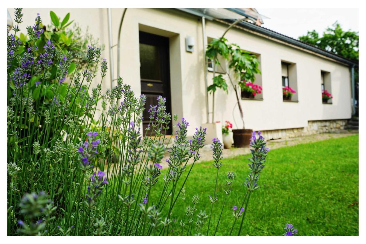 Ingrid'S Guesthouse Spittal Spittal an der Drau Dış mekan fotoğraf