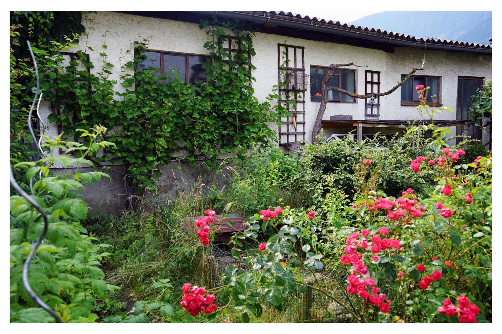 Ingrid'S Guesthouse Spittal Spittal an der Drau Dış mekan fotoğraf